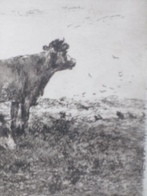 Jan Vrolijk, Boer met koeien in de wei, Ets kopen? Bied vanaf 25!