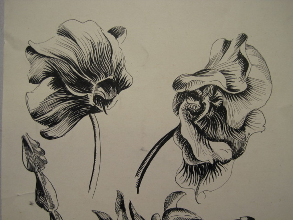 toegeschr. aan Jan Boon 1882-1975 "inkttekening van bloem"  kopen? Bied vanaf 1!