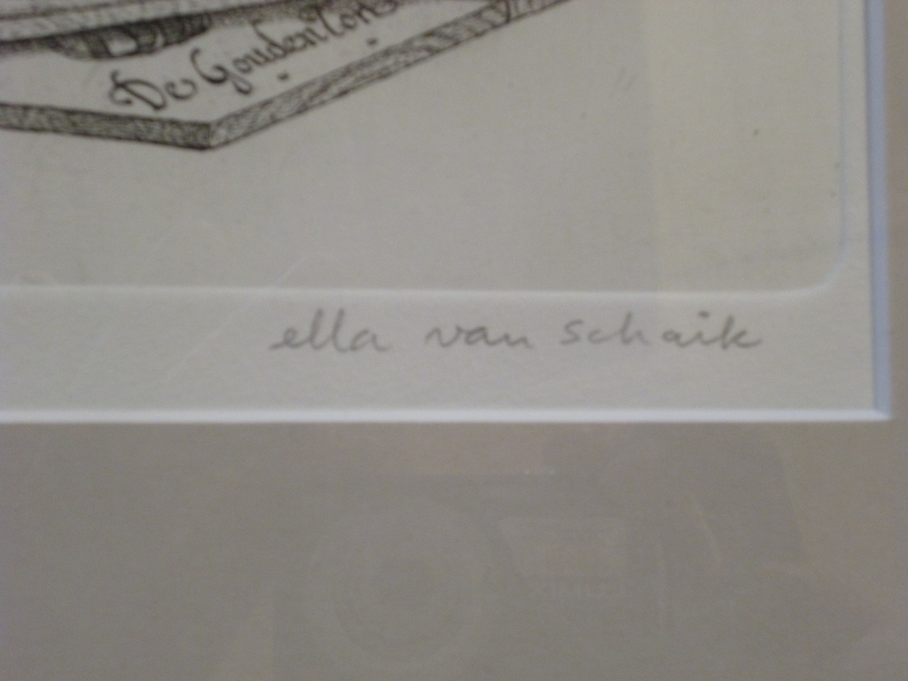 Poes in kistje kopen? Bied vanaf 40!