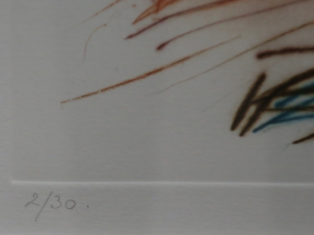 Simon Koene: Ets, Opus 89 -Ingelijst kopen? Bied vanaf 35!