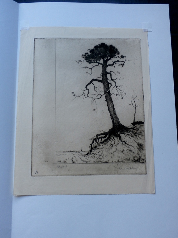 Dirk Baksteen - ets: Boom - 1956 kopen? Bied vanaf 80!