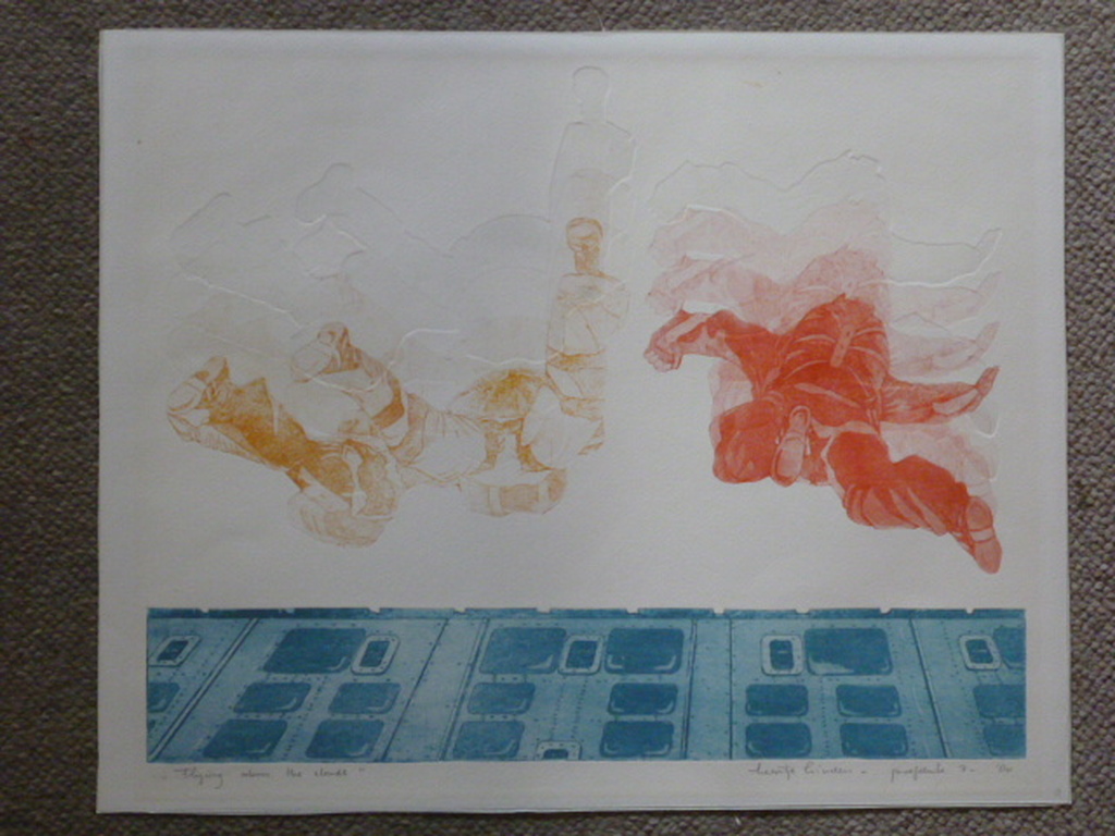 Leentje Linders - kleurenets - Flying above the clouds kopen? Bied vanaf 30!