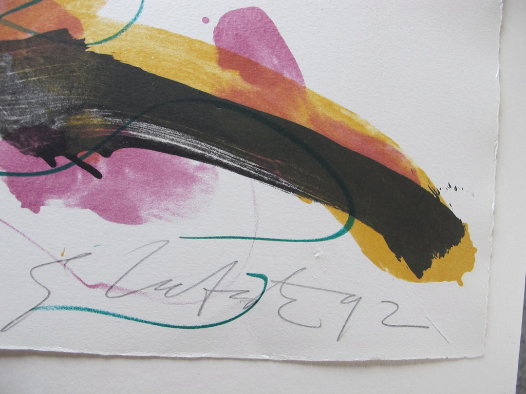 Ger Lataster, kleurenlitho uit 1992, 14/35 kopen? Bied vanaf 25!