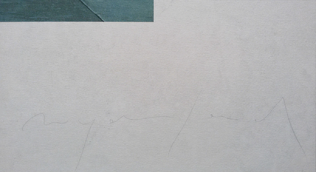 Siet Zuyderland - Reading II, litho kopen? Bied vanaf 110!