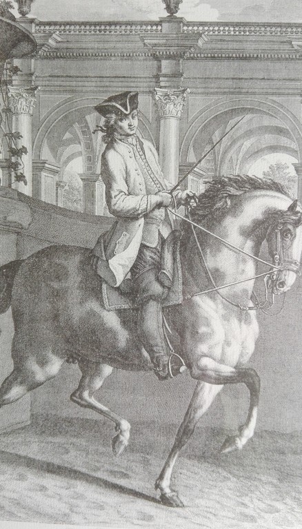Johann Elias Ridinger: Kopergravure, 2 x Paardensport kopen? Bied vanaf 1!