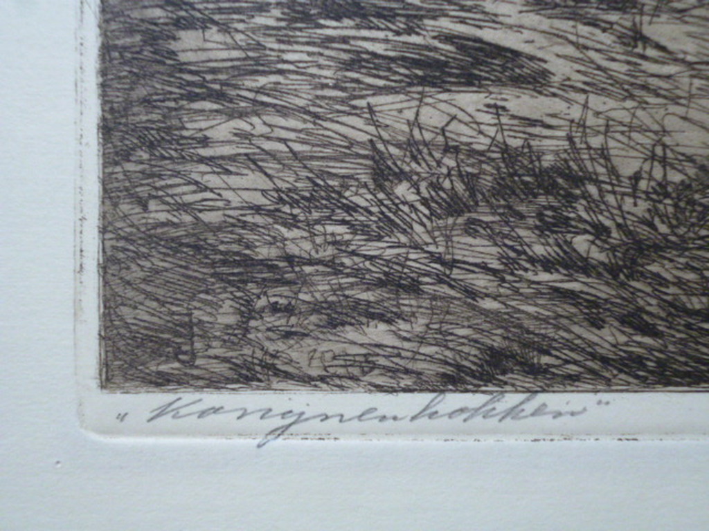 J.D.Scherft-Ets-Konijnenhokken kopen? Bied vanaf 25!