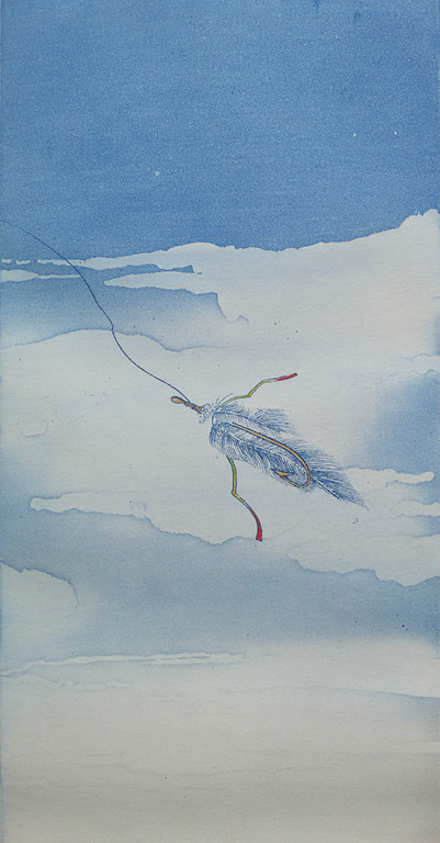 Sjoerd Bakker - Vishaak boven rots in de zee, aquatint ets kopen? Bied vanaf 45!