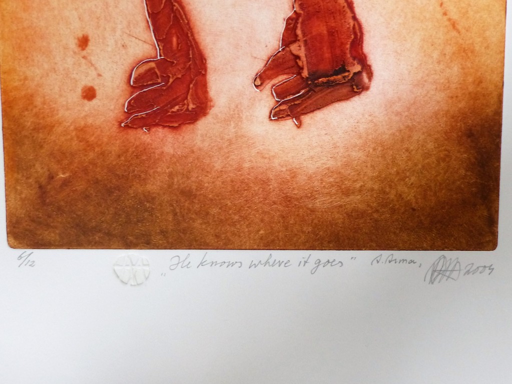 Ad Arma,Ets, He knows where it goes,Handgesigneerd.,oplage 6/12. kopen? Bied vanaf 100!