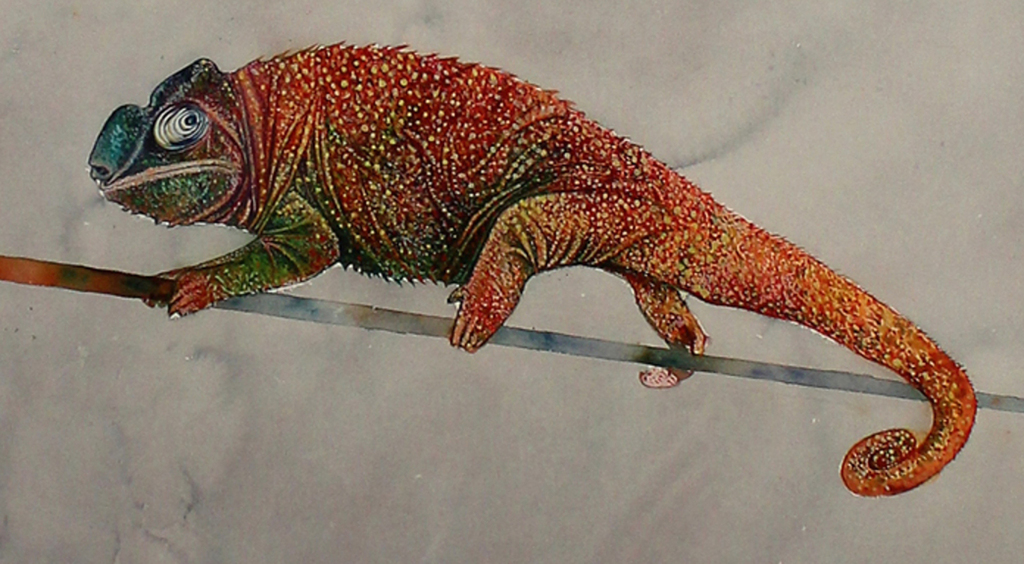 Bruno Bruni -Twee Kameleons- Prachtig mooie Pigmentdruk. Gesigneerd. 2017 kopen? Bied vanaf 79!