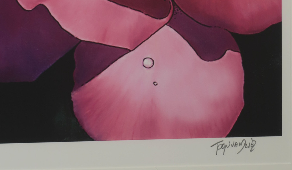 Toon van Driel: Giclee, Vlinder - Ingelijst kopen? Bied vanaf 40!