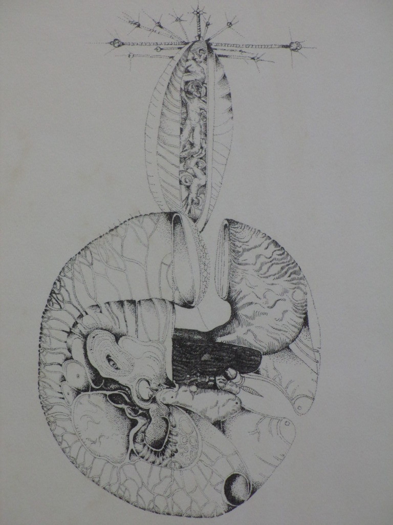 Georg Hadeler, Droom, Litho kopen? Bied vanaf 50!