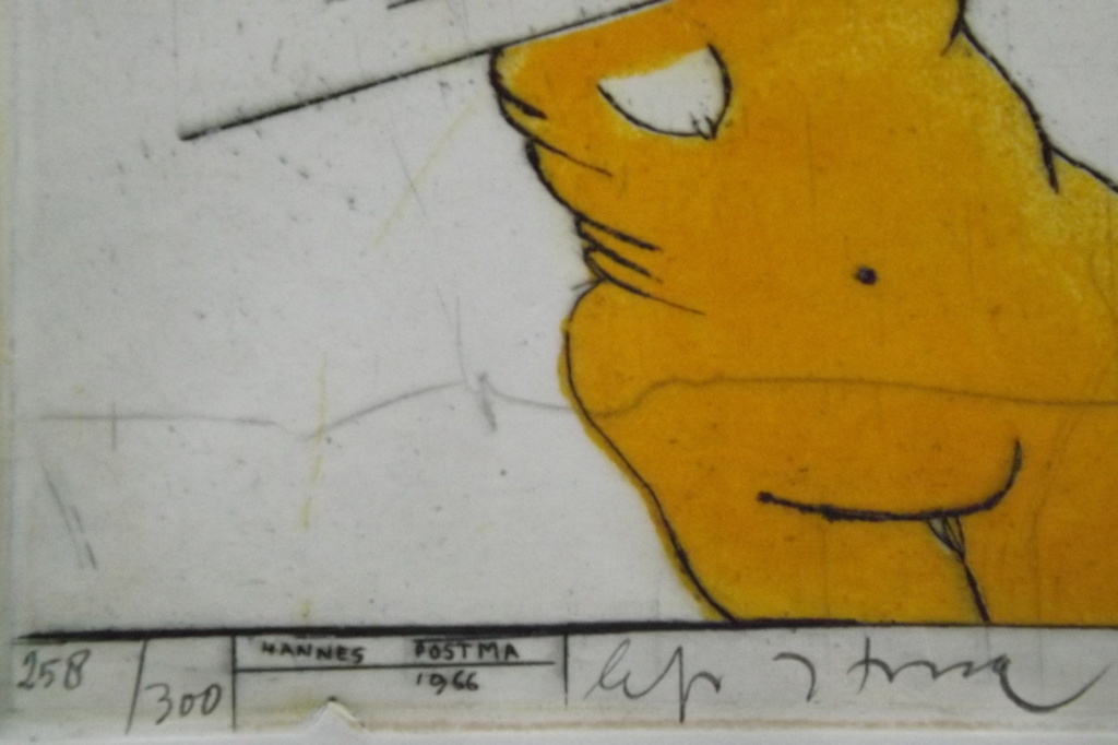 Hannes Postma: Kleurenets, Titel: Hocus Focus kopen? Bied vanaf 90!