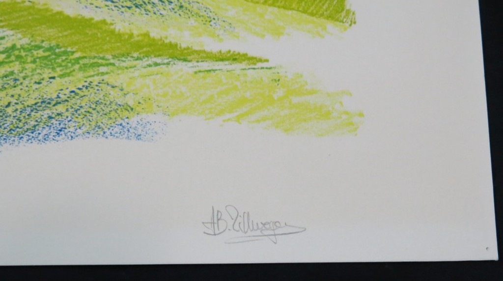 Ami Bernard Zillweger: Litho, Val da Cam kopen? Bied vanaf 1!