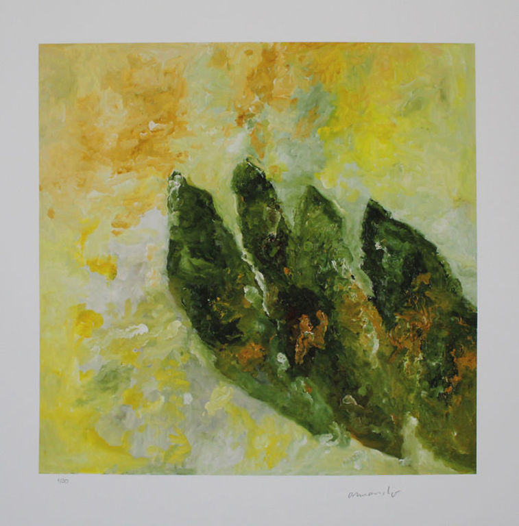 Armando, -Pflanze- Giclée, handgesigneerd/genummerd, 2014, Slechts 30 exempl verkocht voor € 139!