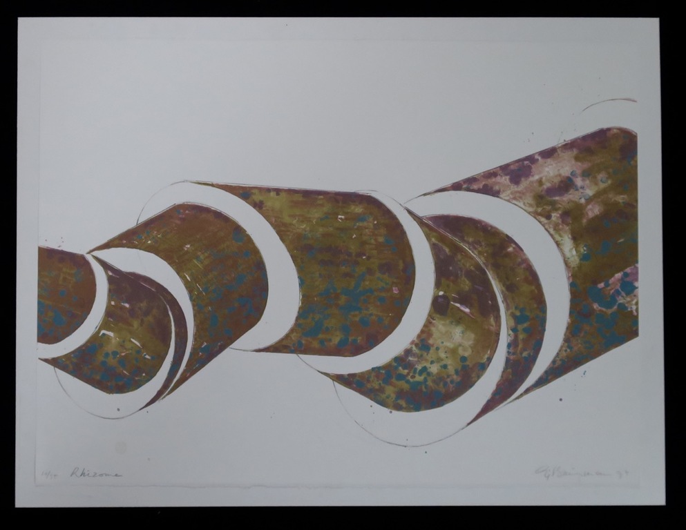 Sjoerd Buisman: Litho, Rhizome kopen? Bied vanaf 20!