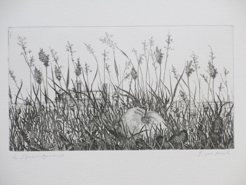 Willem Minderman, Landschap met appel, Ets kopen? Bied vanaf 35!