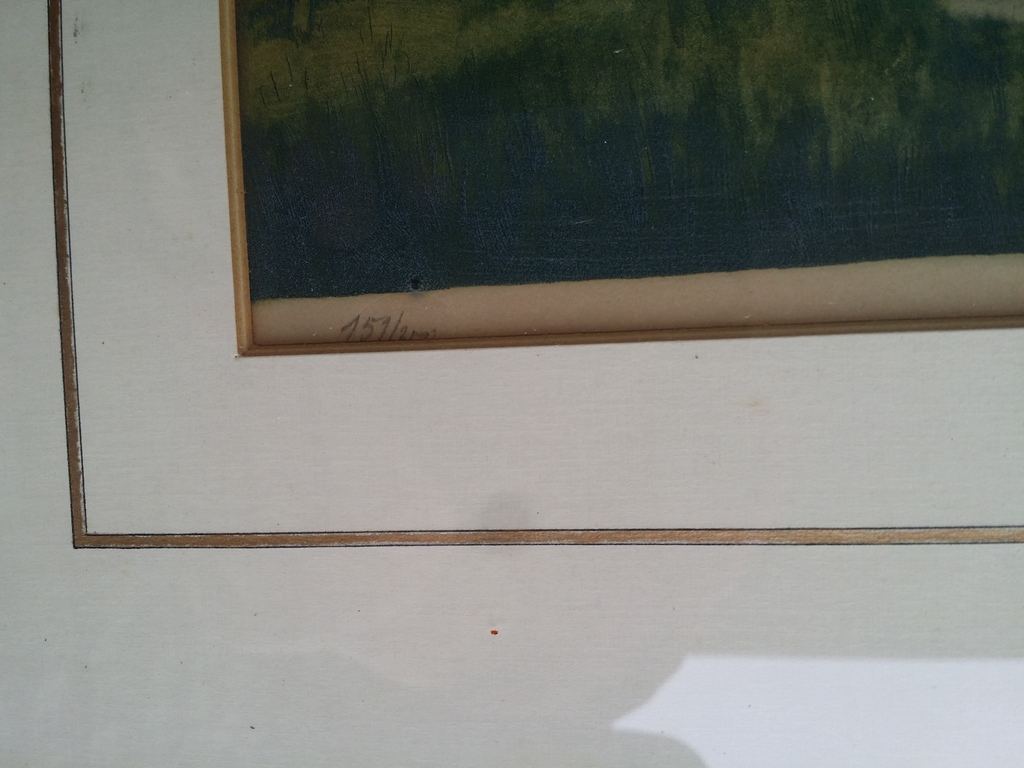 Alfred van Neste. Kleurenets. Vrouwen bleken de was. kopen? Bied vanaf 35!