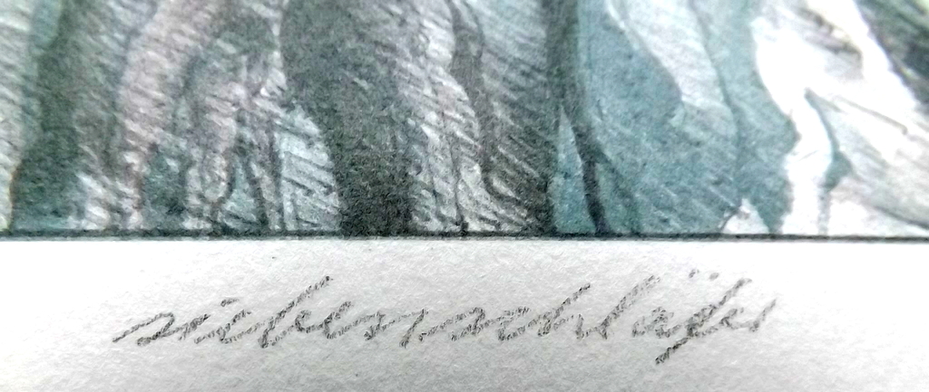 Ernestine Repsch - litho uit 1980 - zeldzaam kopen? Bied vanaf 1!