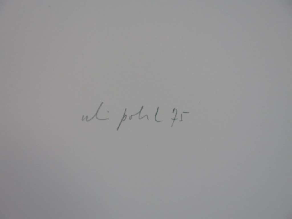 Uli Pohl: Zeefdruk, Circulair kopen? Bied vanaf 50!