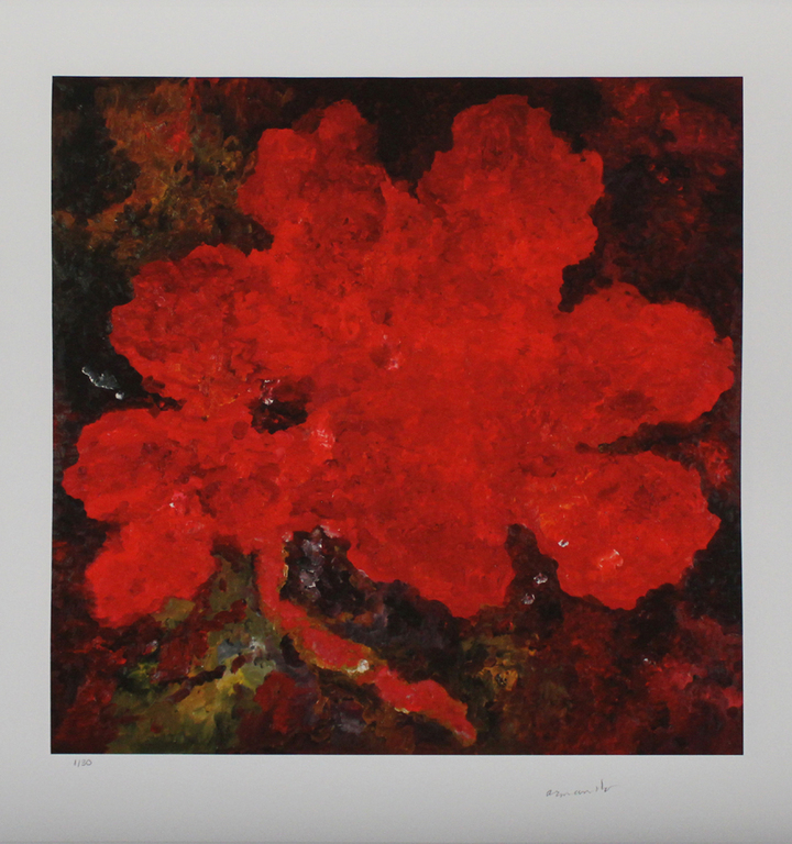 Armando, -Die Blume- Giclée, handgesigneerd/genummerd, 2015, Slechts 30 exempl. kopen? Bied vanaf 169!