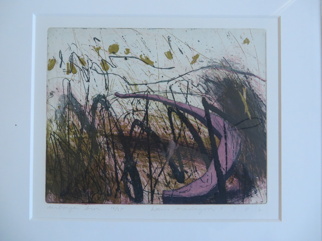 Hans Vredegoor, ets/aquatint, "de verborgen bron" kopen? Bied vanaf 30!