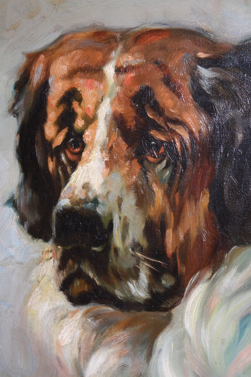 Charles Petit - ST BERNARDS HOND kopen? Bied vanaf 1!