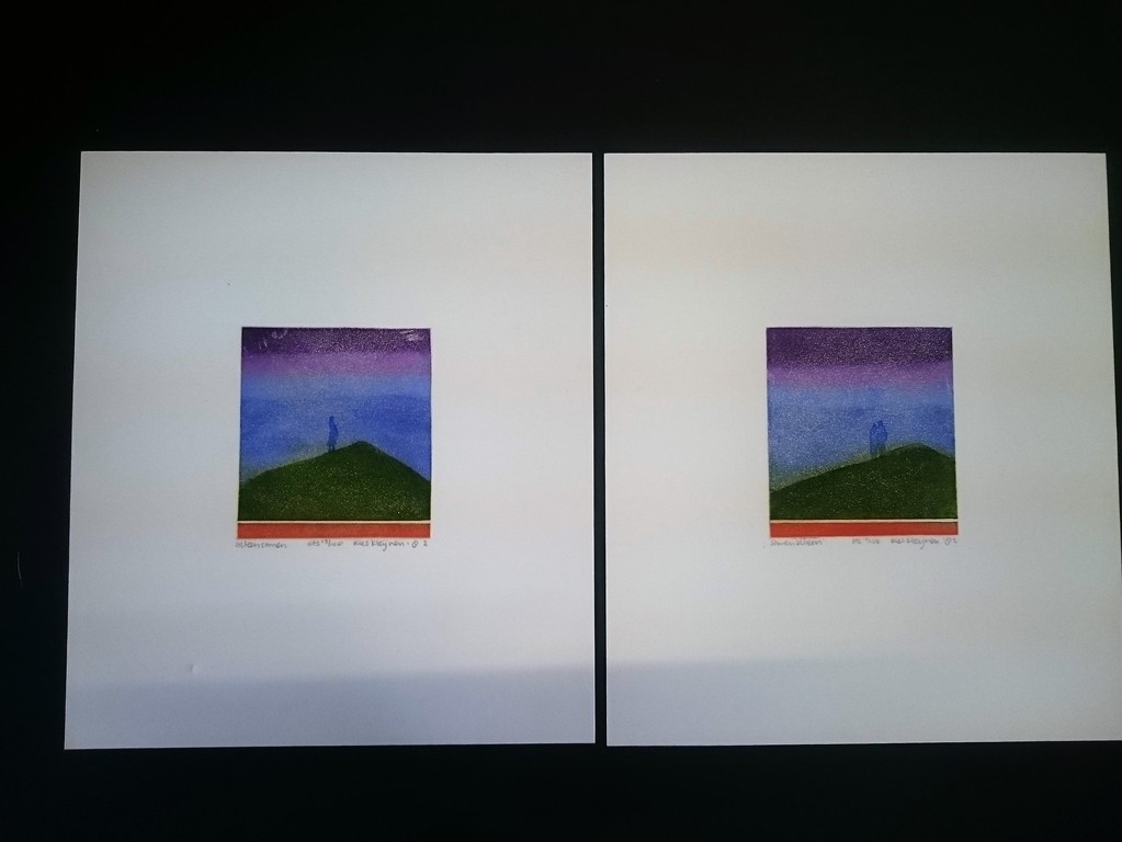 Ries Kleijnen, 2 Etsen, Alleensamen en Samenalleen kopen? Bied vanaf 45!