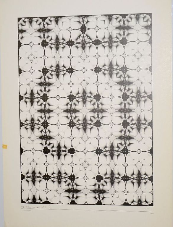 Shinkichi Tajiri: Offset Techniek My Secret Garden No. 9 kopen? Bied vanaf 1!