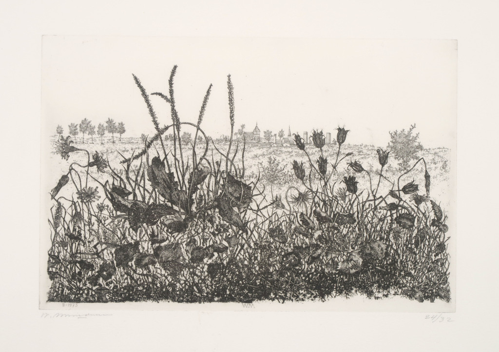 Willem Minderman: Ets, Z.T. Planten en stad II - Ingelijst verkocht voor € 50!