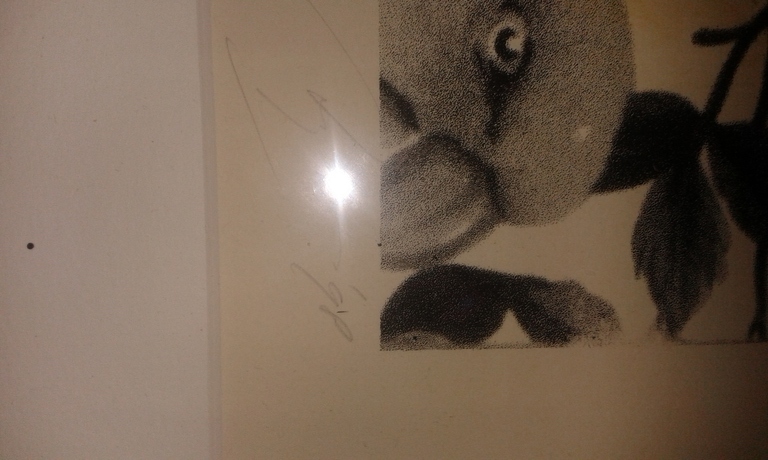 Een mooie zeefafdruk van papagaaien kopen? Bied vanaf 150!