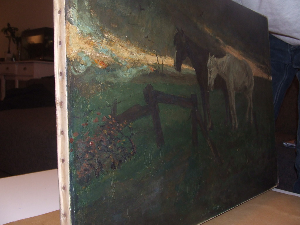 Max Nauta 2 paarden kopen? Bied vanaf 175!