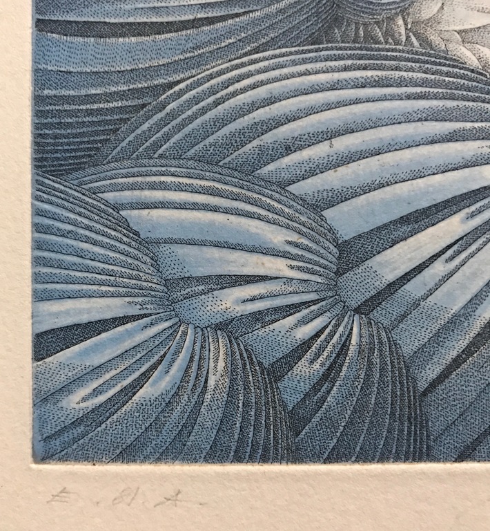 Wolfgang Hutter - Fraaie ets - 1982 - EA kopen? Bied vanaf 55!