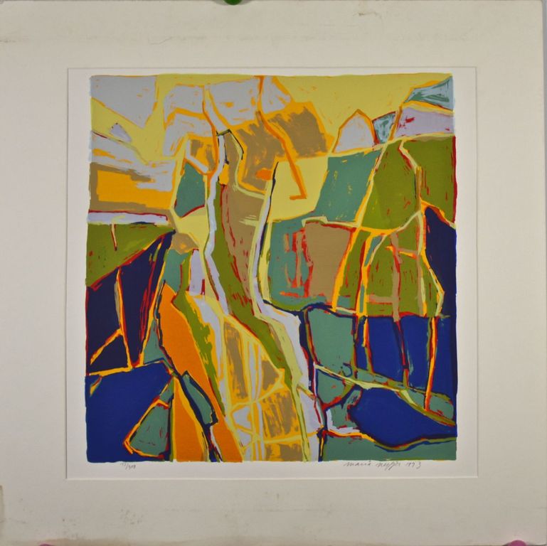 Maria Neefjes: Zeefdruk. Abstracte compositie kopen? Bied vanaf 35!