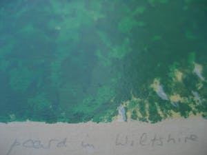 Marian Plug - Marian Plug Kleurenlitho Paard in Wiltshire kopen? Bied vanaf 1!