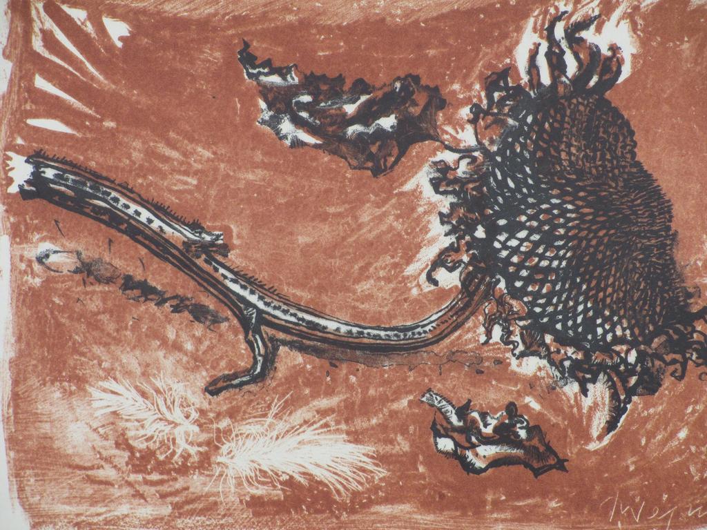 Toon Wegner, Gedroogde zonnebloem, Kleurlitho kopen? Bied vanaf 20!