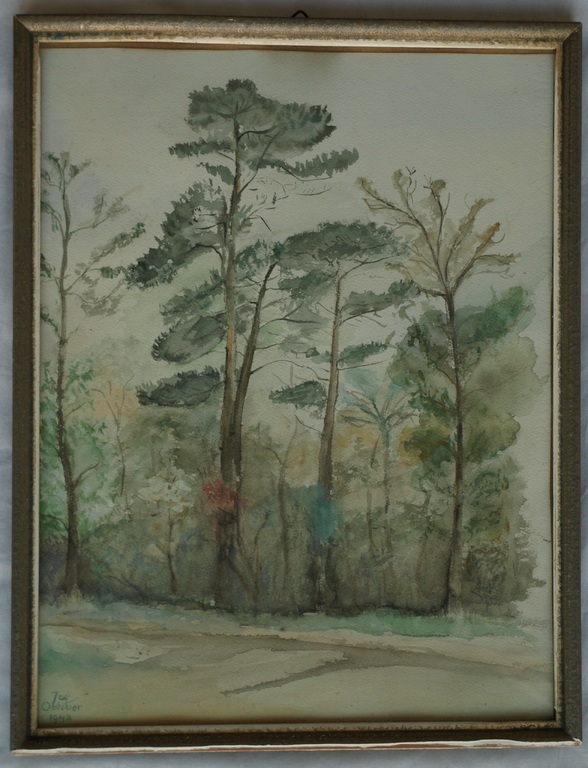 Onbekend : Aquarel, Bos – 1943 – gesigneerd en ingelijst kopen? Bied vanaf 1!