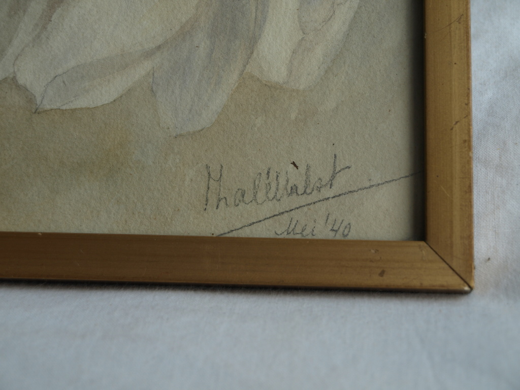 ThalÃ© Hulst: Aquarel â�� Magnolia, Tulpenboom - ingelijst - 1940  kopen? Bied vanaf 30!