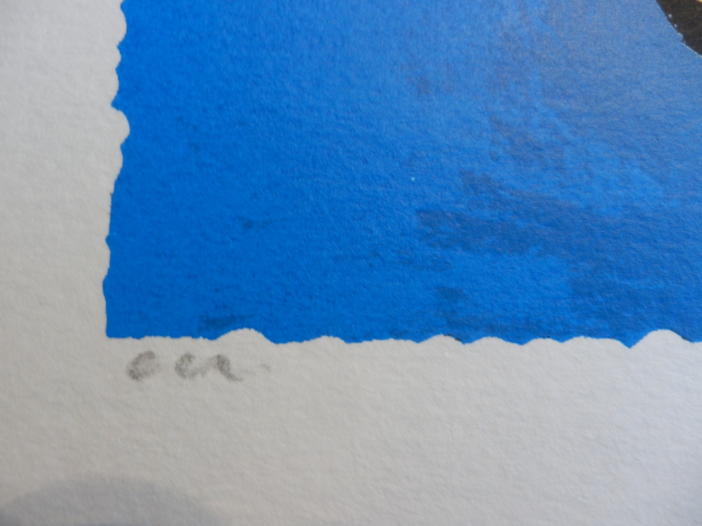 PETER DIEM DESIGNERS COW BLUE Zeefdruk kopen? Bied vanaf 35!