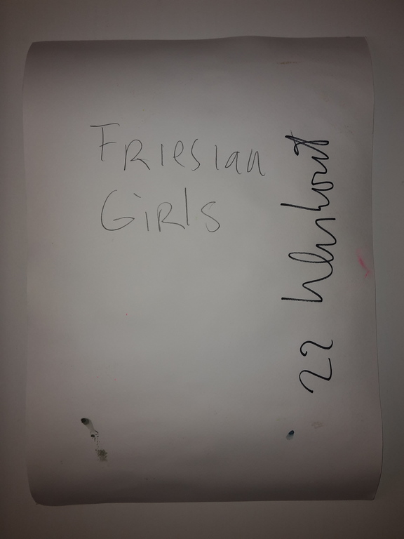 Peter Klashorst - Friesian girls - gemengde techniek op papier - gesigneerd kopen? Bied vanaf 85!