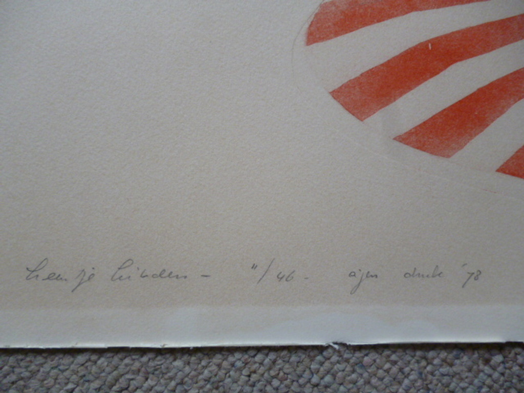 Leentje Linders - kleurenets - Then came Fittipaldi kopen? Bied vanaf 35!