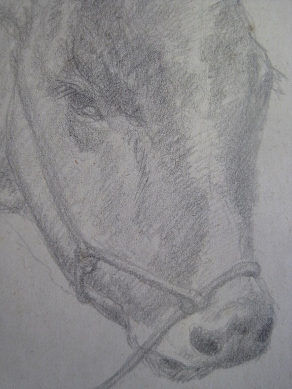 Frans Boers 1914-1987 tekening "Koe" ca. 1950 Laren  kopen? Bied vanaf 1!