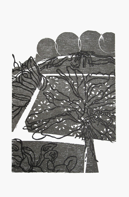 HAP Grieshaber - Originele houtsnede nr. 40 uit GROB, FEIN & GÖTTLICH. 1970 kopen? Bied vanaf 33!