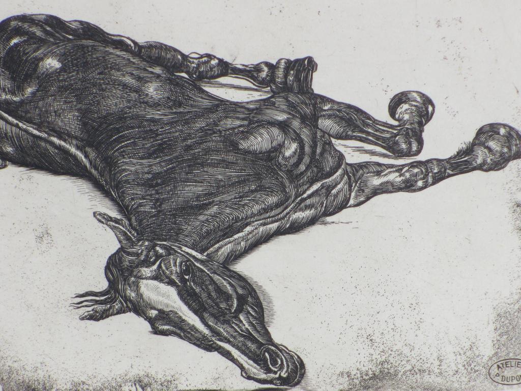 Pieter Dupont, Het doode paard, Ets op koper kopen? Bied vanaf 55!