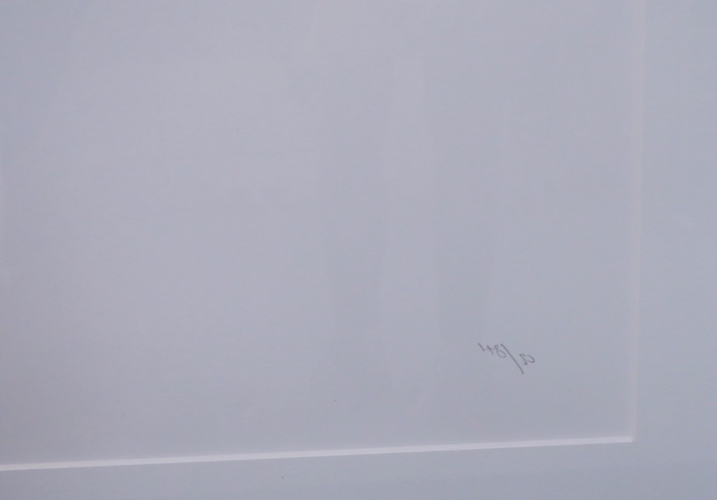 Gerard 't Hart: Zeefdruk, Z.T. - Ingelijst kopen? Bied vanaf 20!