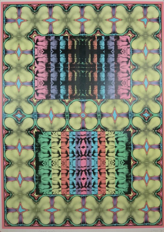 Shinkichi Tajiri: Offset, My Secret Garden No 1 kopen? Bied vanaf 70!