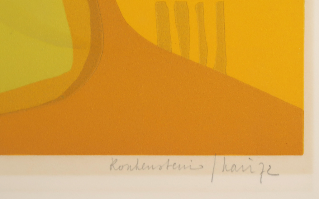 Harr Scheffer: Lino, Duinzoom kopen? Bied vanaf 1!