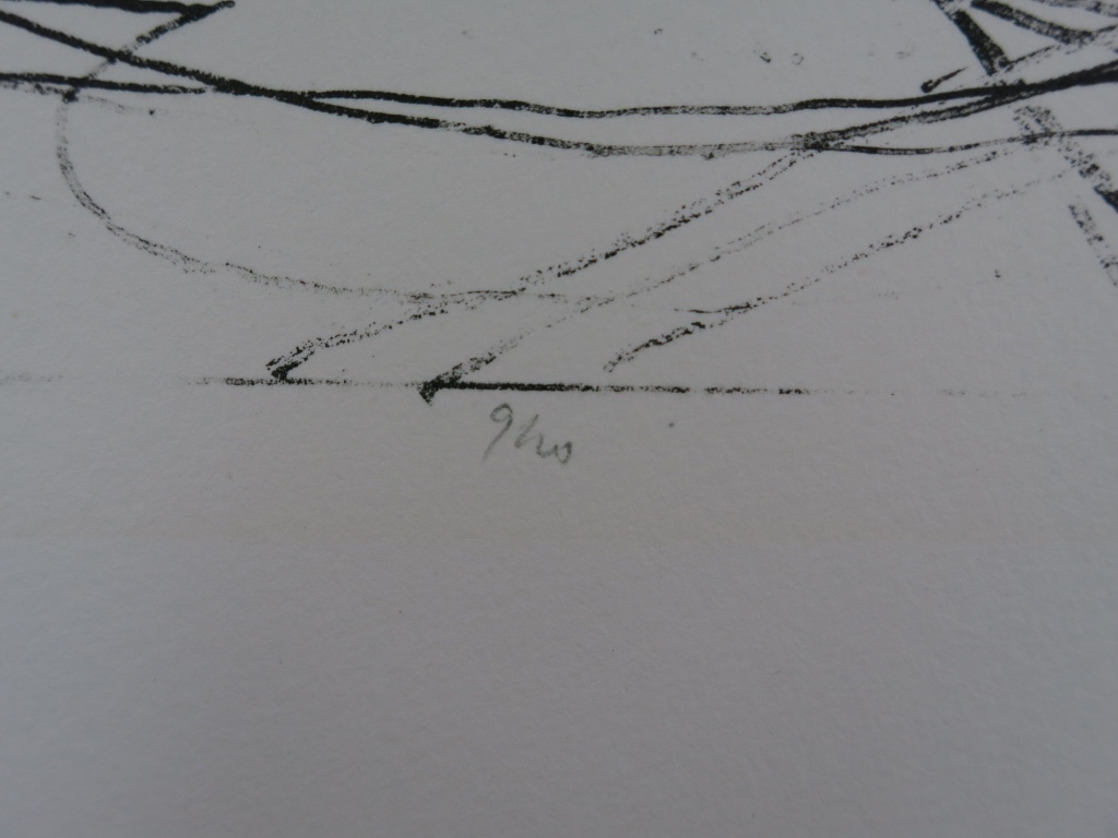 Hanne Huisjes: Litho, The monument kopen? Bied vanaf 1!