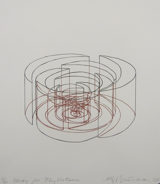Sjoerd Buisman: Zeefdruk, Study for Phyllotaxis verkocht voor € 100!