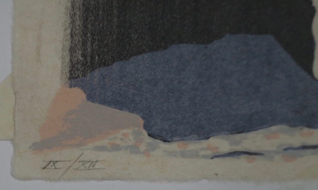 Jan Hein van Rooy: Litho, Waterval kopen? Bied vanaf 1!