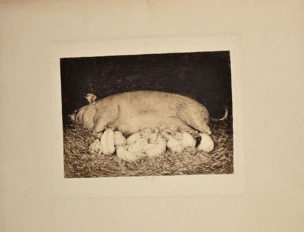 C.L. Dake: Ets. Zeug met biggen kopen? Bied vanaf 1!